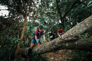 BIB: 
                            <button type="button" onclick="openModal(25551104)" class="btn btn-primary btn-sm float-right btn-popup" data-toggle="modal" data-target=".modal-high-quality">
                        <i class="fas fa-shopping-cart"></i> Add to Cart
                    </button>
                                            <button type="button" onclick="isThisMe(25551104, true)" class="btn btn-success btn-sm float-right btn-popup btn-isme hidden" data-toggle="tooltip" data-placement="bottom" title="นี่คือรูปของคุณใช่ไหม คลิกที่นี่เพื่อเอาเข้าอัลบั้ม">
                        <i class="fas fa-plus"></i> Add to album
                    </button>
                    <button type="button" onclick="isThisMe(25551104, false)" class="btn btn-warning btn-sm float-right btn-popup btn-isnotme hidden">
                        <i class="fas fa-ban"></i> Remove from album
                    </button>