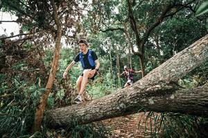 BIB: 
                            <button type="button" onclick="openModal(25545085)" class="btn btn-primary btn-sm float-right btn-popup" data-toggle="modal" data-target=".modal-high-quality">
                        <i class="fas fa-shopping-cart"></i> Add to Cart
                    </button>
                                            <button type="button" onclick="isThisMe(25545085, true)" class="btn btn-success btn-sm float-right btn-popup btn-isme hidden" data-toggle="tooltip" data-placement="bottom" title="นี่คือรูปของคุณใช่ไหม คลิกที่นี่เพื่อเอาเข้าอัลบั้ม">
                        <i class="fas fa-plus"></i> Add to album
                    </button>
                    <button type="button" onclick="isThisMe(25545085, false)" class="btn btn-warning btn-sm float-right btn-popup btn-isnotme hidden">
                        <i class="fas fa-ban"></i> Remove from album
                    </button>