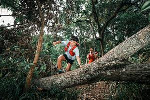 BIB: 
                            <button type="button" onclick="openModal(25535759)" class="btn btn-primary btn-sm float-right btn-popup" data-toggle="modal" data-target=".modal-high-quality">
                        <i class="fas fa-shopping-cart"></i> Add to Cart
                    </button>
                                            <button type="button" onclick="isThisMe(25535759, true)" class="btn btn-success btn-sm float-right btn-popup btn-isme hidden" data-toggle="tooltip" data-placement="bottom" title="นี่คือรูปของคุณใช่ไหม คลิกที่นี่เพื่อเอาเข้าอัลบั้ม">
                        <i class="fas fa-plus"></i> Add to album
                    </button>
                    <button type="button" onclick="isThisMe(25535759, false)" class="btn btn-warning btn-sm float-right btn-popup btn-isnotme hidden">
                        <i class="fas fa-ban"></i> Remove from album
                    </button>