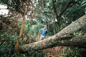 BIB: 
                            <button type="button" onclick="openModal(25540895)" class="btn btn-primary btn-sm float-right btn-popup" data-toggle="modal" data-target=".modal-high-quality">
                        <i class="fas fa-shopping-cart"></i> Add to Cart
                    </button>
                                            <button type="button" onclick="isThisMe(25540895, true)" class="btn btn-success btn-sm float-right btn-popup btn-isme hidden" data-toggle="tooltip" data-placement="bottom" title="นี่คือรูปของคุณใช่ไหม คลิกที่นี่เพื่อเอาเข้าอัลบั้ม">
                        <i class="fas fa-plus"></i> Add to album
                    </button>
                    <button type="button" onclick="isThisMe(25540895, false)" class="btn btn-warning btn-sm float-right btn-popup btn-isnotme hidden">
                        <i class="fas fa-ban"></i> Remove from album
                    </button>