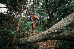 BIB: 
                            <button type="button" onclick="openModal(25546994)" class="btn btn-primary btn-sm float-right btn-popup" data-toggle="modal" data-target=".modal-high-quality">
                        <i class="fas fa-shopping-cart"></i> Add to Cart
                    </button>
                                            <button type="button" onclick="isThisMe(25546994, true)" class="btn btn-success btn-sm float-right btn-popup btn-isme hidden" data-toggle="tooltip" data-placement="bottom" title="นี่คือรูปของคุณใช่ไหม คลิกที่นี่เพื่อเอาเข้าอัลบั้ม">
                        <i class="fas fa-plus"></i> Add to album
                    </button>
                    <button type="button" onclick="isThisMe(25546994, false)" class="btn btn-warning btn-sm float-right btn-popup btn-isnotme hidden">
                        <i class="fas fa-ban"></i> Remove from album
                    </button>