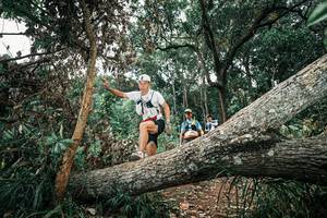 BIB: 
                            <button type="button" onclick="openModal(25541362)" class="btn btn-primary btn-sm float-right btn-popup" data-toggle="modal" data-target=".modal-high-quality">
                        <i class="fas fa-shopping-cart"></i> Add to Cart
                    </button>
                                            <button type="button" onclick="isThisMe(25541362, true)" class="btn btn-success btn-sm float-right btn-popup btn-isme hidden" data-toggle="tooltip" data-placement="bottom" title="นี่คือรูปของคุณใช่ไหม คลิกที่นี่เพื่อเอาเข้าอัลบั้ม">
                        <i class="fas fa-plus"></i> Add to album
                    </button>
                    <button type="button" onclick="isThisMe(25541362, false)" class="btn btn-warning btn-sm float-right btn-popup btn-isnotme hidden">
                        <i class="fas fa-ban"></i> Remove from album
                    </button>