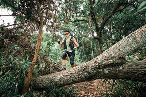 BIB: 
                            <button type="button" onclick="openModal(25545203)" class="btn btn-primary btn-sm float-right btn-popup" data-toggle="modal" data-target=".modal-high-quality">
                        <i class="fas fa-shopping-cart"></i> Add to Cart
                    </button>
                                            <button type="button" onclick="isThisMe(25545203, true)" class="btn btn-success btn-sm float-right btn-popup btn-isme hidden" data-toggle="tooltip" data-placement="bottom" title="นี่คือรูปของคุณใช่ไหม คลิกที่นี่เพื่อเอาเข้าอัลบั้ม">
                        <i class="fas fa-plus"></i> Add to album
                    </button>
                    <button type="button" onclick="isThisMe(25545203, false)" class="btn btn-warning btn-sm float-right btn-popup btn-isnotme hidden">
                        <i class="fas fa-ban"></i> Remove from album
                    </button>