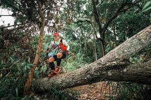 BIB: 
                            <button type="button" onclick="openModal(25547264)" class="btn btn-primary btn-sm float-right btn-popup" data-toggle="modal" data-target=".modal-high-quality">
                        <i class="fas fa-shopping-cart"></i> Add to Cart
                    </button>
                                            <button type="button" onclick="isThisMe(25547264, true)" class="btn btn-success btn-sm float-right btn-popup btn-isme hidden" data-toggle="tooltip" data-placement="bottom" title="นี่คือรูปของคุณใช่ไหม คลิกที่นี่เพื่อเอาเข้าอัลบั้ม">
                        <i class="fas fa-plus"></i> Add to album
                    </button>
                    <button type="button" onclick="isThisMe(25547264, false)" class="btn btn-warning btn-sm float-right btn-popup btn-isnotme hidden">
                        <i class="fas fa-ban"></i> Remove from album
                    </button>