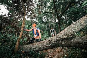 BIB: 
                            <button type="button" onclick="openModal(25536063)" class="btn btn-primary btn-sm float-right btn-popup" data-toggle="modal" data-target=".modal-high-quality">
                        <i class="fas fa-shopping-cart"></i> Add to Cart
                    </button>
                                            <button type="button" onclick="isThisMe(25536063, true)" class="btn btn-success btn-sm float-right btn-popup btn-isme hidden" data-toggle="tooltip" data-placement="bottom" title="นี่คือรูปของคุณใช่ไหม คลิกที่นี่เพื่อเอาเข้าอัลบั้ม">
                        <i class="fas fa-plus"></i> Add to album
                    </button>
                    <button type="button" onclick="isThisMe(25536063, false)" class="btn btn-warning btn-sm float-right btn-popup btn-isnotme hidden">
                        <i class="fas fa-ban"></i> Remove from album
                    </button>