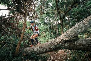 BIB: 
                            <button type="button" onclick="openModal(25533620)" class="btn btn-primary btn-sm float-right btn-popup" data-toggle="modal" data-target=".modal-high-quality">
                        <i class="fas fa-shopping-cart"></i> Add to Cart
                    </button>
                                            <button type="button" onclick="isThisMe(25533620, true)" class="btn btn-success btn-sm float-right btn-popup btn-isme hidden" data-toggle="tooltip" data-placement="bottom" title="นี่คือรูปของคุณใช่ไหม คลิกที่นี่เพื่อเอาเข้าอัลบั้ม">
                        <i class="fas fa-plus"></i> Add to album
                    </button>
                    <button type="button" onclick="isThisMe(25533620, false)" class="btn btn-warning btn-sm float-right btn-popup btn-isnotme hidden">
                        <i class="fas fa-ban"></i> Remove from album
                    </button>