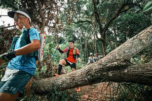 BIB: 
                            <button type="button" onclick="openModal(25546407)" class="btn btn-primary btn-sm float-right btn-popup" data-toggle="modal" data-target=".modal-high-quality">
                        <i class="fas fa-shopping-cart"></i> Add to Cart
                    </button>
                                            <button type="button" onclick="isThisMe(25546407, true)" class="btn btn-success btn-sm float-right btn-popup btn-isme hidden" data-toggle="tooltip" data-placement="bottom" title="นี่คือรูปของคุณใช่ไหม คลิกที่นี่เพื่อเอาเข้าอัลบั้ม">
                        <i class="fas fa-plus"></i> Add to album
                    </button>
                    <button type="button" onclick="isThisMe(25546407, false)" class="btn btn-warning btn-sm float-right btn-popup btn-isnotme hidden">
                        <i class="fas fa-ban"></i> Remove from album
                    </button>