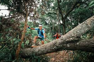 BIB: 
                            <button type="button" onclick="openModal(25546392)" class="btn btn-primary btn-sm float-right btn-popup" data-toggle="modal" data-target=".modal-high-quality">
                        <i class="fas fa-shopping-cart"></i> Add to Cart
                    </button>
                                            <button type="button" onclick="isThisMe(25546392, true)" class="btn btn-success btn-sm float-right btn-popup btn-isme hidden" data-toggle="tooltip" data-placement="bottom" title="นี่คือรูปของคุณใช่ไหม คลิกที่นี่เพื่อเอาเข้าอัลบั้ม">
                        <i class="fas fa-plus"></i> Add to album
                    </button>
                    <button type="button" onclick="isThisMe(25546392, false)" class="btn btn-warning btn-sm float-right btn-popup btn-isnotme hidden">
                        <i class="fas fa-ban"></i> Remove from album
                    </button>