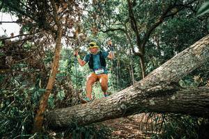 BIB: 
                            <button type="button" onclick="openModal(25548557)" class="btn btn-primary btn-sm float-right btn-popup" data-toggle="modal" data-target=".modal-high-quality">
                        <i class="fas fa-shopping-cart"></i> Add to Cart
                    </button>
                                            <button type="button" onclick="isThisMe(25548557, true)" class="btn btn-success btn-sm float-right btn-popup btn-isme hidden" data-toggle="tooltip" data-placement="bottom" title="นี่คือรูปของคุณใช่ไหม คลิกที่นี่เพื่อเอาเข้าอัลบั้ม">
                        <i class="fas fa-plus"></i> Add to album
                    </button>
                    <button type="button" onclick="isThisMe(25548557, false)" class="btn btn-warning btn-sm float-right btn-popup btn-isnotme hidden">
                        <i class="fas fa-ban"></i> Remove from album
                    </button>