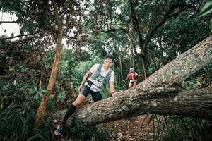 BIB: 
                            <button type="button" onclick="openModal(25536582)" class="btn btn-primary btn-sm float-right btn-popup" data-toggle="modal" data-target=".modal-high-quality">
                        <i class="fas fa-shopping-cart"></i> Add to Cart
                    </button>
                                            <button type="button" onclick="isThisMe(25536582, true)" class="btn btn-success btn-sm float-right btn-popup btn-isme hidden" data-toggle="tooltip" data-placement="bottom" title="นี่คือรูปของคุณใช่ไหม คลิกที่นี่เพื่อเอาเข้าอัลบั้ม">
                        <i class="fas fa-plus"></i> Add to album
                    </button>
                    <button type="button" onclick="isThisMe(25536582, false)" class="btn btn-warning btn-sm float-right btn-popup btn-isnotme hidden">
                        <i class="fas fa-ban"></i> Remove from album
                    </button>