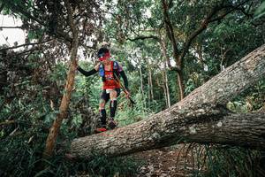 BIB: 
                            <button type="button" onclick="openModal(25528814)" class="btn btn-primary btn-sm float-right btn-popup" data-toggle="modal" data-target=".modal-high-quality">
                        <i class="fas fa-shopping-cart"></i> Add to Cart
                    </button>
                                            <button type="button" onclick="isThisMe(25528814, true)" class="btn btn-success btn-sm float-right btn-popup btn-isme hidden" data-toggle="tooltip" data-placement="bottom" title="นี่คือรูปของคุณใช่ไหม คลิกที่นี่เพื่อเอาเข้าอัลบั้ม">
                        <i class="fas fa-plus"></i> Add to album
                    </button>
                    <button type="button" onclick="isThisMe(25528814, false)" class="btn btn-warning btn-sm float-right btn-popup btn-isnotme hidden">
                        <i class="fas fa-ban"></i> Remove from album
                    </button>