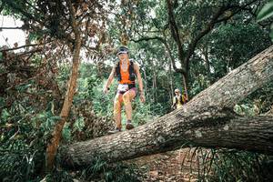 BIB: 
                            <button type="button" onclick="openModal(25543747)" class="btn btn-primary btn-sm float-right btn-popup" data-toggle="modal" data-target=".modal-high-quality">
                        <i class="fas fa-shopping-cart"></i> Add to Cart
                    </button>
                                            <button type="button" onclick="isThisMe(25543747, true)" class="btn btn-success btn-sm float-right btn-popup btn-isme hidden" data-toggle="tooltip" data-placement="bottom" title="นี่คือรูปของคุณใช่ไหม คลิกที่นี่เพื่อเอาเข้าอัลบั้ม">
                        <i class="fas fa-plus"></i> Add to album
                    </button>
                    <button type="button" onclick="isThisMe(25543747, false)" class="btn btn-warning btn-sm float-right btn-popup btn-isnotme hidden">
                        <i class="fas fa-ban"></i> Remove from album
                    </button>