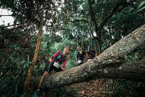 BIB: 
                            <button type="button" onclick="openModal(25548826)" class="btn btn-primary btn-sm float-right btn-popup" data-toggle="modal" data-target=".modal-high-quality">
                        <i class="fas fa-shopping-cart"></i> Add to Cart
                    </button>
                                            <button type="button" onclick="isThisMe(25548826, true)" class="btn btn-success btn-sm float-right btn-popup btn-isme hidden" data-toggle="tooltip" data-placement="bottom" title="นี่คือรูปของคุณใช่ไหม คลิกที่นี่เพื่อเอาเข้าอัลบั้ม">
                        <i class="fas fa-plus"></i> Add to album
                    </button>
                    <button type="button" onclick="isThisMe(25548826, false)" class="btn btn-warning btn-sm float-right btn-popup btn-isnotme hidden">
                        <i class="fas fa-ban"></i> Remove from album
                    </button>