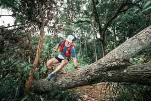 BIB: 
                            <button type="button" onclick="openModal(25542760)" class="btn btn-primary btn-sm float-right btn-popup" data-toggle="modal" data-target=".modal-high-quality">
                        <i class="fas fa-shopping-cart"></i> Add to Cart
                    </button>
                                            <button type="button" onclick="isThisMe(25542760, true)" class="btn btn-success btn-sm float-right btn-popup btn-isme hidden" data-toggle="tooltip" data-placement="bottom" title="นี่คือรูปของคุณใช่ไหม คลิกที่นี่เพื่อเอาเข้าอัลบั้ม">
                        <i class="fas fa-plus"></i> Add to album
                    </button>
                    <button type="button" onclick="isThisMe(25542760, false)" class="btn btn-warning btn-sm float-right btn-popup btn-isnotme hidden">
                        <i class="fas fa-ban"></i> Remove from album
                    </button>