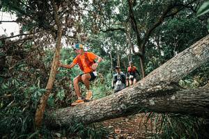 BIB: 
                            <button type="button" onclick="openModal(25539906)" class="btn btn-primary btn-sm float-right btn-popup" data-toggle="modal" data-target=".modal-high-quality">
                        <i class="fas fa-shopping-cart"></i> Add to Cart
                    </button>
                                            <button type="button" onclick="isThisMe(25539906, true)" class="btn btn-success btn-sm float-right btn-popup btn-isme hidden" data-toggle="tooltip" data-placement="bottom" title="นี่คือรูปของคุณใช่ไหม คลิกที่นี่เพื่อเอาเข้าอัลบั้ม">
                        <i class="fas fa-plus"></i> Add to album
                    </button>
                    <button type="button" onclick="isThisMe(25539906, false)" class="btn btn-warning btn-sm float-right btn-popup btn-isnotme hidden">
                        <i class="fas fa-ban"></i> Remove from album
                    </button>