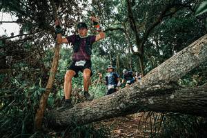 BIB: 
                            <button type="button" onclick="openModal(25548904)" class="btn btn-primary btn-sm float-right btn-popup" data-toggle="modal" data-target=".modal-high-quality">
                        <i class="fas fa-shopping-cart"></i> Add to Cart
                    </button>
                                            <button type="button" onclick="isThisMe(25548904, true)" class="btn btn-success btn-sm float-right btn-popup btn-isme hidden" data-toggle="tooltip" data-placement="bottom" title="นี่คือรูปของคุณใช่ไหม คลิกที่นี่เพื่อเอาเข้าอัลบั้ม">
                        <i class="fas fa-plus"></i> Add to album
                    </button>
                    <button type="button" onclick="isThisMe(25548904, false)" class="btn btn-warning btn-sm float-right btn-popup btn-isnotme hidden">
                        <i class="fas fa-ban"></i> Remove from album
                    </button>