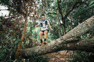 BIB: 
                            <button type="button" onclick="openModal(25548496)" class="btn btn-primary btn-sm float-right btn-popup" data-toggle="modal" data-target=".modal-high-quality">
                        <i class="fas fa-shopping-cart"></i> Add to Cart
                    </button>
                                            <button type="button" onclick="isThisMe(25548496, true)" class="btn btn-success btn-sm float-right btn-popup btn-isme hidden" data-toggle="tooltip" data-placement="bottom" title="นี่คือรูปของคุณใช่ไหม คลิกที่นี่เพื่อเอาเข้าอัลบั้ม">
                        <i class="fas fa-plus"></i> Add to album
                    </button>
                    <button type="button" onclick="isThisMe(25548496, false)" class="btn btn-warning btn-sm float-right btn-popup btn-isnotme hidden">
                        <i class="fas fa-ban"></i> Remove from album
                    </button>