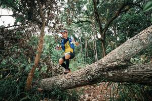 BIB: 
                            <button type="button" onclick="openModal(25529657)" class="btn btn-primary btn-sm float-right btn-popup" data-toggle="modal" data-target=".modal-high-quality">
                        <i class="fas fa-shopping-cart"></i> Add to Cart
                    </button>
                                            <button type="button" onclick="isThisMe(25529657, true)" class="btn btn-success btn-sm float-right btn-popup btn-isme hidden" data-toggle="tooltip" data-placement="bottom" title="นี่คือรูปของคุณใช่ไหม คลิกที่นี่เพื่อเอาเข้าอัลบั้ม">
                        <i class="fas fa-plus"></i> Add to album
                    </button>
                    <button type="button" onclick="isThisMe(25529657, false)" class="btn btn-warning btn-sm float-right btn-popup btn-isnotme hidden">
                        <i class="fas fa-ban"></i> Remove from album
                    </button>