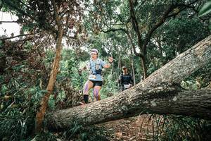 BIB: 
                            <button type="button" onclick="openModal(25543775)" class="btn btn-primary btn-sm float-right btn-popup" data-toggle="modal" data-target=".modal-high-quality">
                        <i class="fas fa-shopping-cart"></i> Add to Cart
                    </button>
                                            <button type="button" onclick="isThisMe(25543775, true)" class="btn btn-success btn-sm float-right btn-popup btn-isme hidden" data-toggle="tooltip" data-placement="bottom" title="นี่คือรูปของคุณใช่ไหม คลิกที่นี่เพื่อเอาเข้าอัลบั้ม">
                        <i class="fas fa-plus"></i> Add to album
                    </button>
                    <button type="button" onclick="isThisMe(25543775, false)" class="btn btn-warning btn-sm float-right btn-popup btn-isnotme hidden">
                        <i class="fas fa-ban"></i> Remove from album
                    </button>