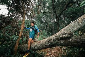 BIB: 
                            <button type="button" onclick="openModal(25546760)" class="btn btn-primary btn-sm float-right btn-popup" data-toggle="modal" data-target=".modal-high-quality">
                        <i class="fas fa-shopping-cart"></i> Add to Cart
                    </button>
                                            <button type="button" onclick="isThisMe(25546760, true)" class="btn btn-success btn-sm float-right btn-popup btn-isme hidden" data-toggle="tooltip" data-placement="bottom" title="นี่คือรูปของคุณใช่ไหม คลิกที่นี่เพื่อเอาเข้าอัลบั้ม">
                        <i class="fas fa-plus"></i> Add to album
                    </button>
                    <button type="button" onclick="isThisMe(25546760, false)" class="btn btn-warning btn-sm float-right btn-popup btn-isnotme hidden">
                        <i class="fas fa-ban"></i> Remove from album
                    </button>