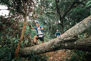 BIB: 
                            <button type="button" onclick="openModal(25546376)" class="btn btn-primary btn-sm float-right btn-popup" data-toggle="modal" data-target=".modal-high-quality">
                        <i class="fas fa-shopping-cart"></i> Add to Cart
                    </button>
                                            <button type="button" onclick="isThisMe(25546376, true)" class="btn btn-success btn-sm float-right btn-popup btn-isme hidden" data-toggle="tooltip" data-placement="bottom" title="นี่คือรูปของคุณใช่ไหม คลิกที่นี่เพื่อเอาเข้าอัลบั้ม">
                        <i class="fas fa-plus"></i> Add to album
                    </button>
                    <button type="button" onclick="isThisMe(25546376, false)" class="btn btn-warning btn-sm float-right btn-popup btn-isnotme hidden">
                        <i class="fas fa-ban"></i> Remove from album
                    </button>