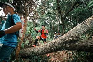 BIB: 
                            <button type="button" onclick="openModal(25546458)" class="btn btn-primary btn-sm float-right btn-popup" data-toggle="modal" data-target=".modal-high-quality">
                        <i class="fas fa-shopping-cart"></i> Add to Cart
                    </button>
                                            <button type="button" onclick="isThisMe(25546458, true)" class="btn btn-success btn-sm float-right btn-popup btn-isme hidden" data-toggle="tooltip" data-placement="bottom" title="นี่คือรูปของคุณใช่ไหม คลิกที่นี่เพื่อเอาเข้าอัลบั้ม">
                        <i class="fas fa-plus"></i> Add to album
                    </button>
                    <button type="button" onclick="isThisMe(25546458, false)" class="btn btn-warning btn-sm float-right btn-popup btn-isnotme hidden">
                        <i class="fas fa-ban"></i> Remove from album
                    </button>