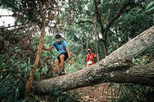 BIB: 
                            <button type="button" onclick="openModal(25544670)" class="btn btn-primary btn-sm float-right btn-popup" data-toggle="modal" data-target=".modal-high-quality">
                        <i class="fas fa-shopping-cart"></i> Add to Cart
                    </button>
                                            <button type="button" onclick="isThisMe(25544670, true)" class="btn btn-success btn-sm float-right btn-popup btn-isme hidden" data-toggle="tooltip" data-placement="bottom" title="นี่คือรูปของคุณใช่ไหม คลิกที่นี่เพื่อเอาเข้าอัลบั้ม">
                        <i class="fas fa-plus"></i> Add to album
                    </button>
                    <button type="button" onclick="isThisMe(25544670, false)" class="btn btn-warning btn-sm float-right btn-popup btn-isnotme hidden">
                        <i class="fas fa-ban"></i> Remove from album
                    </button>