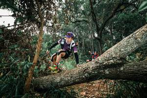 BIB: 
                            <button type="button" onclick="openModal(25550042)" class="btn btn-primary btn-sm float-right btn-popup" data-toggle="modal" data-target=".modal-high-quality">
                        <i class="fas fa-shopping-cart"></i> Add to Cart
                    </button>
                                            <button type="button" onclick="isThisMe(25550042, true)" class="btn btn-success btn-sm float-right btn-popup btn-isme hidden" data-toggle="tooltip" data-placement="bottom" title="นี่คือรูปของคุณใช่ไหม คลิกที่นี่เพื่อเอาเข้าอัลบั้ม">
                        <i class="fas fa-plus"></i> Add to album
                    </button>
                    <button type="button" onclick="isThisMe(25550042, false)" class="btn btn-warning btn-sm float-right btn-popup btn-isnotme hidden">
                        <i class="fas fa-ban"></i> Remove from album
                    </button>