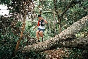 BIB: 
                            <button type="button" onclick="openModal(25527483)" class="btn btn-primary btn-sm float-right btn-popup" data-toggle="modal" data-target=".modal-high-quality">
                        <i class="fas fa-shopping-cart"></i> Add to Cart
                    </button>
                                            <button type="button" onclick="isThisMe(25527483, true)" class="btn btn-success btn-sm float-right btn-popup btn-isme hidden" data-toggle="tooltip" data-placement="bottom" title="นี่คือรูปของคุณใช่ไหม คลิกที่นี่เพื่อเอาเข้าอัลบั้ม">
                        <i class="fas fa-plus"></i> Add to album
                    </button>
                    <button type="button" onclick="isThisMe(25527483, false)" class="btn btn-warning btn-sm float-right btn-popup btn-isnotme hidden">
                        <i class="fas fa-ban"></i> Remove from album
                    </button>