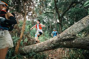 BIB: 
                            <button type="button" onclick="openModal(25540882)" class="btn btn-primary btn-sm float-right btn-popup" data-toggle="modal" data-target=".modal-high-quality">
                        <i class="fas fa-shopping-cart"></i> Add to Cart
                    </button>
                                            <button type="button" onclick="isThisMe(25540882, true)" class="btn btn-success btn-sm float-right btn-popup btn-isme hidden" data-toggle="tooltip" data-placement="bottom" title="นี่คือรูปของคุณใช่ไหม คลิกที่นี่เพื่อเอาเข้าอัลบั้ม">
                        <i class="fas fa-plus"></i> Add to album
                    </button>
                    <button type="button" onclick="isThisMe(25540882, false)" class="btn btn-warning btn-sm float-right btn-popup btn-isnotme hidden">
                        <i class="fas fa-ban"></i> Remove from album
                    </button>