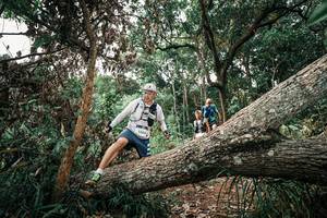 BIB: 
                            <button type="button" onclick="openModal(25531260)" class="btn btn-primary btn-sm float-right btn-popup" data-toggle="modal" data-target=".modal-high-quality">
                        <i class="fas fa-shopping-cart"></i> Add to Cart
                    </button>
                                            <button type="button" onclick="isThisMe(25531260, true)" class="btn btn-success btn-sm float-right btn-popup btn-isme hidden" data-toggle="tooltip" data-placement="bottom" title="นี่คือรูปของคุณใช่ไหม คลิกที่นี่เพื่อเอาเข้าอัลบั้ม">
                        <i class="fas fa-plus"></i> Add to album
                    </button>
                    <button type="button" onclick="isThisMe(25531260, false)" class="btn btn-warning btn-sm float-right btn-popup btn-isnotme hidden">
                        <i class="fas fa-ban"></i> Remove from album
                    </button>