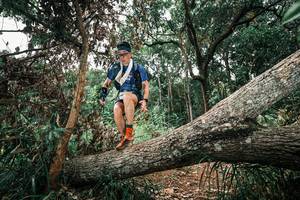 BIB: 
                            <button type="button" onclick="openModal(25547313)" class="btn btn-primary btn-sm float-right btn-popup" data-toggle="modal" data-target=".modal-high-quality">
                        <i class="fas fa-shopping-cart"></i> Add to Cart
                    </button>
                                            <button type="button" onclick="isThisMe(25547313, true)" class="btn btn-success btn-sm float-right btn-popup btn-isme hidden" data-toggle="tooltip" data-placement="bottom" title="นี่คือรูปของคุณใช่ไหม คลิกที่นี่เพื่อเอาเข้าอัลบั้ม">
                        <i class="fas fa-plus"></i> Add to album
                    </button>
                    <button type="button" onclick="isThisMe(25547313, false)" class="btn btn-warning btn-sm float-right btn-popup btn-isnotme hidden">
                        <i class="fas fa-ban"></i> Remove from album
                    </button>