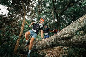 BIB: 
                            <button type="button" onclick="openModal(25552025)" class="btn btn-primary btn-sm float-right btn-popup" data-toggle="modal" data-target=".modal-high-quality">
                        <i class="fas fa-shopping-cart"></i> Add to Cart
                    </button>
                                            <button type="button" onclick="isThisMe(25552025, true)" class="btn btn-success btn-sm float-right btn-popup btn-isme hidden" data-toggle="tooltip" data-placement="bottom" title="นี่คือรูปของคุณใช่ไหม คลิกที่นี่เพื่อเอาเข้าอัลบั้ม">
                        <i class="fas fa-plus"></i> Add to album
                    </button>
                    <button type="button" onclick="isThisMe(25552025, false)" class="btn btn-warning btn-sm float-right btn-popup btn-isnotme hidden">
                        <i class="fas fa-ban"></i> Remove from album
                    </button>