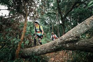 BIB: 
                            <button type="button" onclick="openModal(25546183)" class="btn btn-primary btn-sm float-right btn-popup" data-toggle="modal" data-target=".modal-high-quality">
                        <i class="fas fa-shopping-cart"></i> Add to Cart
                    </button>
                                            <button type="button" onclick="isThisMe(25546183, true)" class="btn btn-success btn-sm float-right btn-popup btn-isme hidden" data-toggle="tooltip" data-placement="bottom" title="นี่คือรูปของคุณใช่ไหม คลิกที่นี่เพื่อเอาเข้าอัลบั้ม">
                        <i class="fas fa-plus"></i> Add to album
                    </button>
                    <button type="button" onclick="isThisMe(25546183, false)" class="btn btn-warning btn-sm float-right btn-popup btn-isnotme hidden">
                        <i class="fas fa-ban"></i> Remove from album
                    </button>