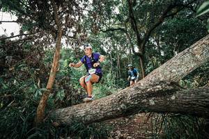 BIB: 
                            <button type="button" onclick="openModal(25535524)" class="btn btn-primary btn-sm float-right btn-popup" data-toggle="modal" data-target=".modal-high-quality">
                        <i class="fas fa-shopping-cart"></i> Add to Cart
                    </button>
                                            <button type="button" onclick="isThisMe(25535524, true)" class="btn btn-success btn-sm float-right btn-popup btn-isme hidden" data-toggle="tooltip" data-placement="bottom" title="นี่คือรูปของคุณใช่ไหม คลิกที่นี่เพื่อเอาเข้าอัลบั้ม">
                        <i class="fas fa-plus"></i> Add to album
                    </button>
                    <button type="button" onclick="isThisMe(25535524, false)" class="btn btn-warning btn-sm float-right btn-popup btn-isnotme hidden">
                        <i class="fas fa-ban"></i> Remove from album
                    </button>