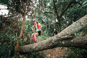 BIB: 
                            <button type="button" onclick="openModal(25544929)" class="btn btn-primary btn-sm float-right btn-popup" data-toggle="modal" data-target=".modal-high-quality">
                        <i class="fas fa-shopping-cart"></i> Add to Cart
                    </button>
                                            <button type="button" onclick="isThisMe(25544929, true)" class="btn btn-success btn-sm float-right btn-popup btn-isme hidden" data-toggle="tooltip" data-placement="bottom" title="นี่คือรูปของคุณใช่ไหม คลิกที่นี่เพื่อเอาเข้าอัลบั้ม">
                        <i class="fas fa-plus"></i> Add to album
                    </button>
                    <button type="button" onclick="isThisMe(25544929, false)" class="btn btn-warning btn-sm float-right btn-popup btn-isnotme hidden">
                        <i class="fas fa-ban"></i> Remove from album
                    </button>