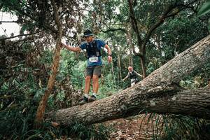 BIB: 
                            <button type="button" onclick="openModal(25530370)" class="btn btn-primary btn-sm float-right btn-popup" data-toggle="modal" data-target=".modal-high-quality">
                        <i class="fas fa-shopping-cart"></i> Add to Cart
                    </button>
                                            <button type="button" onclick="isThisMe(25530370, true)" class="btn btn-success btn-sm float-right btn-popup btn-isme hidden" data-toggle="tooltip" data-placement="bottom" title="นี่คือรูปของคุณใช่ไหม คลิกที่นี่เพื่อเอาเข้าอัลบั้ม">
                        <i class="fas fa-plus"></i> Add to album
                    </button>
                    <button type="button" onclick="isThisMe(25530370, false)" class="btn btn-warning btn-sm float-right btn-popup btn-isnotme hidden">
                        <i class="fas fa-ban"></i> Remove from album
                    </button>