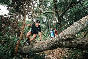 BIB: 
                            <button type="button" onclick="openModal(25544638)" class="btn btn-primary btn-sm float-right btn-popup" data-toggle="modal" data-target=".modal-high-quality">
                        <i class="fas fa-shopping-cart"></i> Add to Cart
                    </button>
                                            <button type="button" onclick="isThisMe(25544638, true)" class="btn btn-success btn-sm float-right btn-popup btn-isme hidden" data-toggle="tooltip" data-placement="bottom" title="นี่คือรูปของคุณใช่ไหม คลิกที่นี่เพื่อเอาเข้าอัลบั้ม">
                        <i class="fas fa-plus"></i> Add to album
                    </button>
                    <button type="button" onclick="isThisMe(25544638, false)" class="btn btn-warning btn-sm float-right btn-popup btn-isnotme hidden">
                        <i class="fas fa-ban"></i> Remove from album
                    </button>