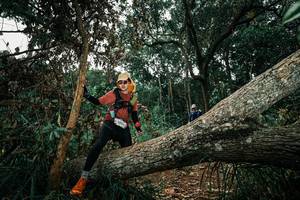 BIB: 
                            <button type="button" onclick="openModal(25550602)" class="btn btn-primary btn-sm float-right btn-popup" data-toggle="modal" data-target=".modal-high-quality">
                        <i class="fas fa-shopping-cart"></i> Add to Cart
                    </button>
                                            <button type="button" onclick="isThisMe(25550602, true)" class="btn btn-success btn-sm float-right btn-popup btn-isme hidden" data-toggle="tooltip" data-placement="bottom" title="นี่คือรูปของคุณใช่ไหม คลิกที่นี่เพื่อเอาเข้าอัลบั้ม">
                        <i class="fas fa-plus"></i> Add to album
                    </button>
                    <button type="button" onclick="isThisMe(25550602, false)" class="btn btn-warning btn-sm float-right btn-popup btn-isnotme hidden">
                        <i class="fas fa-ban"></i> Remove from album
                    </button>