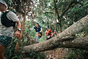 BIB: 
                            <button type="button" onclick="openModal(25529367)" class="btn btn-primary btn-sm float-right btn-popup" data-toggle="modal" data-target=".modal-high-quality">
                        <i class="fas fa-shopping-cart"></i> Add to Cart
                    </button>
                                            <button type="button" onclick="isThisMe(25529367, true)" class="btn btn-success btn-sm float-right btn-popup btn-isme hidden" data-toggle="tooltip" data-placement="bottom" title="นี่คือรูปของคุณใช่ไหม คลิกที่นี่เพื่อเอาเข้าอัลบั้ม">
                        <i class="fas fa-plus"></i> Add to album
                    </button>
                    <button type="button" onclick="isThisMe(25529367, false)" class="btn btn-warning btn-sm float-right btn-popup btn-isnotme hidden">
                        <i class="fas fa-ban"></i> Remove from album
                    </button>