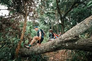 BIB: 
                            <button type="button" onclick="openModal(25545680)" class="btn btn-primary btn-sm float-right btn-popup" data-toggle="modal" data-target=".modal-high-quality">
                        <i class="fas fa-shopping-cart"></i> Add to Cart
                    </button>
                                            <button type="button" onclick="isThisMe(25545680, true)" class="btn btn-success btn-sm float-right btn-popup btn-isme hidden" data-toggle="tooltip" data-placement="bottom" title="นี่คือรูปของคุณใช่ไหม คลิกที่นี่เพื่อเอาเข้าอัลบั้ม">
                        <i class="fas fa-plus"></i> Add to album
                    </button>
                    <button type="button" onclick="isThisMe(25545680, false)" class="btn btn-warning btn-sm float-right btn-popup btn-isnotme hidden">
                        <i class="fas fa-ban"></i> Remove from album
                    </button>