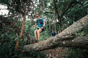 BIB: 
                            <button type="button" onclick="openModal(25528450)" class="btn btn-primary btn-sm float-right btn-popup" data-toggle="modal" data-target=".modal-high-quality">
                        <i class="fas fa-shopping-cart"></i> Add to Cart
                    </button>
                                            <button type="button" onclick="isThisMe(25528450, true)" class="btn btn-success btn-sm float-right btn-popup btn-isme hidden" data-toggle="tooltip" data-placement="bottom" title="นี่คือรูปของคุณใช่ไหม คลิกที่นี่เพื่อเอาเข้าอัลบั้ม">
                        <i class="fas fa-plus"></i> Add to album
                    </button>
                    <button type="button" onclick="isThisMe(25528450, false)" class="btn btn-warning btn-sm float-right btn-popup btn-isnotme hidden">
                        <i class="fas fa-ban"></i> Remove from album
                    </button>