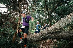 BIB: 
                            <button type="button" onclick="openModal(25536935)" class="btn btn-primary btn-sm float-right btn-popup" data-toggle="modal" data-target=".modal-high-quality">
                        <i class="fas fa-shopping-cart"></i> Add to Cart
                    </button>
                                            <button type="button" onclick="isThisMe(25536935, true)" class="btn btn-success btn-sm float-right btn-popup btn-isme hidden" data-toggle="tooltip" data-placement="bottom" title="นี่คือรูปของคุณใช่ไหม คลิกที่นี่เพื่อเอาเข้าอัลบั้ม">
                        <i class="fas fa-plus"></i> Add to album
                    </button>
                    <button type="button" onclick="isThisMe(25536935, false)" class="btn btn-warning btn-sm float-right btn-popup btn-isnotme hidden">
                        <i class="fas fa-ban"></i> Remove from album
                    </button>