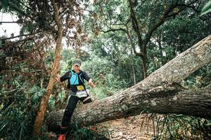 BIB: 
                            <button type="button" onclick="openModal(25553012)" class="btn btn-primary btn-sm float-right btn-popup" data-toggle="modal" data-target=".modal-high-quality">
                        <i class="fas fa-shopping-cart"></i> Add to Cart
                    </button>
                                            <button type="button" onclick="isThisMe(25553012, true)" class="btn btn-success btn-sm float-right btn-popup btn-isme hidden" data-toggle="tooltip" data-placement="bottom" title="นี่คือรูปของคุณใช่ไหม คลิกที่นี่เพื่อเอาเข้าอัลบั้ม">
                        <i class="fas fa-plus"></i> Add to album
                    </button>
                    <button type="button" onclick="isThisMe(25553012, false)" class="btn btn-warning btn-sm float-right btn-popup btn-isnotme hidden">
                        <i class="fas fa-ban"></i> Remove from album
                    </button>