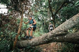 BIB: 
                            <button type="button" onclick="openModal(25544531)" class="btn btn-primary btn-sm float-right btn-popup" data-toggle="modal" data-target=".modal-high-quality">
                        <i class="fas fa-shopping-cart"></i> Add to Cart
                    </button>
                                            <button type="button" onclick="isThisMe(25544531, true)" class="btn btn-success btn-sm float-right btn-popup btn-isme hidden" data-toggle="tooltip" data-placement="bottom" title="นี่คือรูปของคุณใช่ไหม คลิกที่นี่เพื่อเอาเข้าอัลบั้ม">
                        <i class="fas fa-plus"></i> Add to album
                    </button>
                    <button type="button" onclick="isThisMe(25544531, false)" class="btn btn-warning btn-sm float-right btn-popup btn-isnotme hidden">
                        <i class="fas fa-ban"></i> Remove from album
                    </button>