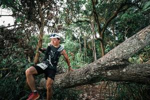 BIB: 
                            <button type="button" onclick="openModal(25528760)" class="btn btn-primary btn-sm float-right btn-popup" data-toggle="modal" data-target=".modal-high-quality">
                        <i class="fas fa-shopping-cart"></i> Add to Cart
                    </button>
                                            <button type="button" onclick="isThisMe(25528760, true)" class="btn btn-success btn-sm float-right btn-popup btn-isme hidden" data-toggle="tooltip" data-placement="bottom" title="นี่คือรูปของคุณใช่ไหม คลิกที่นี่เพื่อเอาเข้าอัลบั้ม">
                        <i class="fas fa-plus"></i> Add to album
                    </button>
                    <button type="button" onclick="isThisMe(25528760, false)" class="btn btn-warning btn-sm float-right btn-popup btn-isnotme hidden">
                        <i class="fas fa-ban"></i> Remove from album
                    </button>