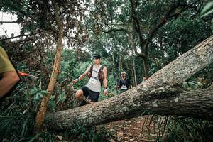 BIB: 
                            <button type="button" onclick="openModal(25541576)" class="btn btn-primary btn-sm float-right btn-popup" data-toggle="modal" data-target=".modal-high-quality">
                        <i class="fas fa-shopping-cart"></i> Add to Cart
                    </button>
                                            <button type="button" onclick="isThisMe(25541576, true)" class="btn btn-success btn-sm float-right btn-popup btn-isme hidden" data-toggle="tooltip" data-placement="bottom" title="นี่คือรูปของคุณใช่ไหม คลิกที่นี่เพื่อเอาเข้าอัลบั้ม">
                        <i class="fas fa-plus"></i> Add to album
                    </button>
                    <button type="button" onclick="isThisMe(25541576, false)" class="btn btn-warning btn-sm float-right btn-popup btn-isnotme hidden">
                        <i class="fas fa-ban"></i> Remove from album
                    </button>