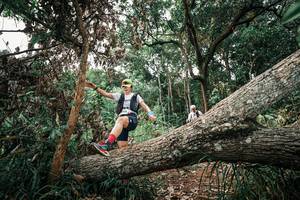 BIB: 
                            <button type="button" onclick="openModal(25531245)" class="btn btn-primary btn-sm float-right btn-popup" data-toggle="modal" data-target=".modal-high-quality">
                        <i class="fas fa-shopping-cart"></i> Add to Cart
                    </button>
                                            <button type="button" onclick="isThisMe(25531245, true)" class="btn btn-success btn-sm float-right btn-popup btn-isme hidden" data-toggle="tooltip" data-placement="bottom" title="นี่คือรูปของคุณใช่ไหม คลิกที่นี่เพื่อเอาเข้าอัลบั้ม">
                        <i class="fas fa-plus"></i> Add to album
                    </button>
                    <button type="button" onclick="isThisMe(25531245, false)" class="btn btn-warning btn-sm float-right btn-popup btn-isnotme hidden">
                        <i class="fas fa-ban"></i> Remove from album
                    </button>