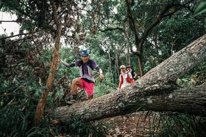 BIB: 
                            <button type="button" onclick="openModal(25532377)" class="btn btn-primary btn-sm float-right btn-popup" data-toggle="modal" data-target=".modal-high-quality">
                        <i class="fas fa-shopping-cart"></i> Add to Cart
                    </button>
                                            <button type="button" onclick="isThisMe(25532377, true)" class="btn btn-success btn-sm float-right btn-popup btn-isme hidden" data-toggle="tooltip" data-placement="bottom" title="นี่คือรูปของคุณใช่ไหม คลิกที่นี่เพื่อเอาเข้าอัลบั้ม">
                        <i class="fas fa-plus"></i> Add to album
                    </button>
                    <button type="button" onclick="isThisMe(25532377, false)" class="btn btn-warning btn-sm float-right btn-popup btn-isnotme hidden">
                        <i class="fas fa-ban"></i> Remove from album
                    </button>