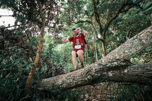 BIB: 
                            <button type="button" onclick="openModal(25527705)" class="btn btn-primary btn-sm float-right btn-popup" data-toggle="modal" data-target=".modal-high-quality">
                        <i class="fas fa-shopping-cart"></i> Add to Cart
                    </button>
                                            <button type="button" onclick="isThisMe(25527705, true)" class="btn btn-success btn-sm float-right btn-popup btn-isme hidden" data-toggle="tooltip" data-placement="bottom" title="นี่คือรูปของคุณใช่ไหม คลิกที่นี่เพื่อเอาเข้าอัลบั้ม">
                        <i class="fas fa-plus"></i> Add to album
                    </button>
                    <button type="button" onclick="isThisMe(25527705, false)" class="btn btn-warning btn-sm float-right btn-popup btn-isnotme hidden">
                        <i class="fas fa-ban"></i> Remove from album
                    </button>